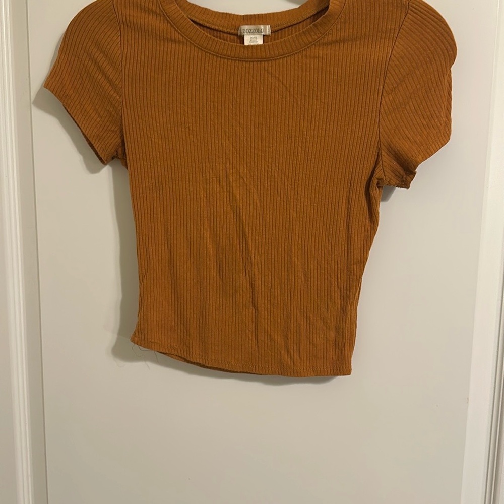 Bozzolo Brown Fitted Crop T-Shirt